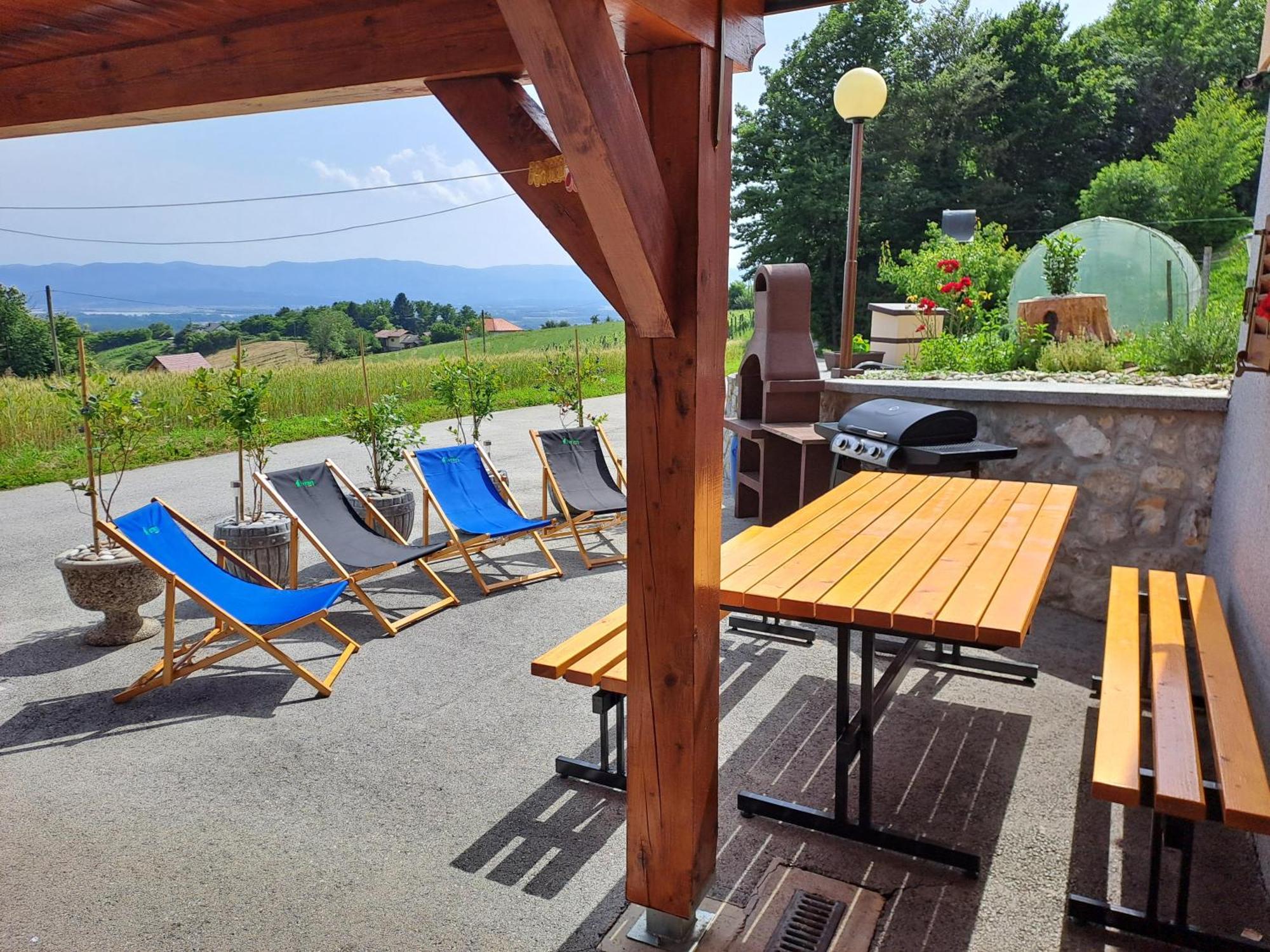 Apartments Jernej With Onsite Wellness Brežice Extérieur photo